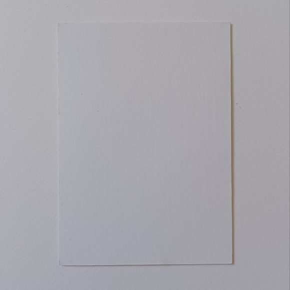 ORIGINAL ART Ink Poppies on Maroon Mat Board. 5"x7" Moody, Whimsical, Subtle - Picture 7 of 7